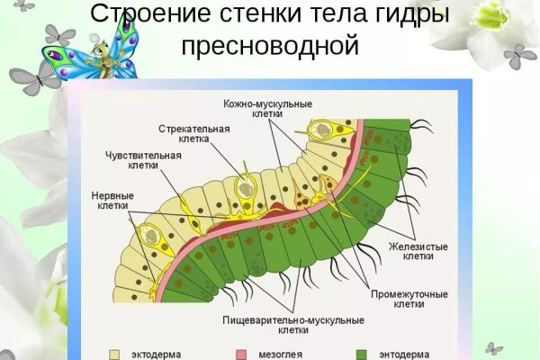 Darknet ссылка кракен kraken014 com