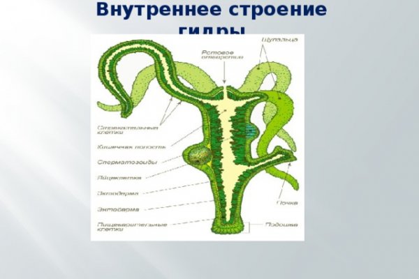 Зайти кракен через тор