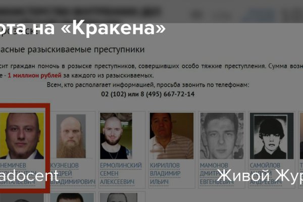 Кракен 24