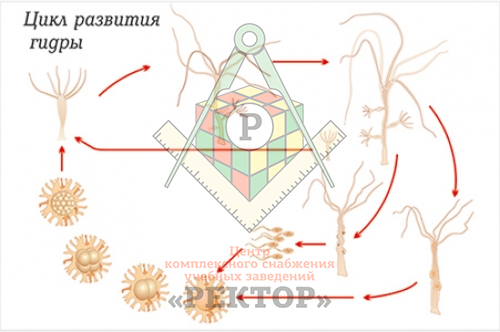 Кракен сайт 16